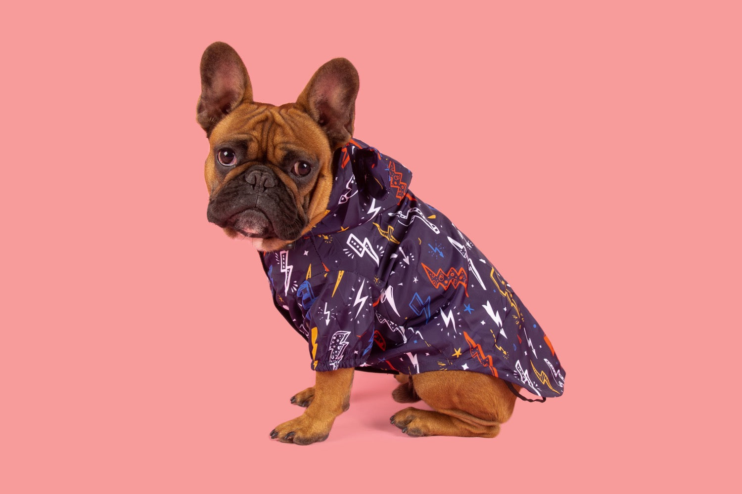 DOG RAINCOAT: Lightning Storm