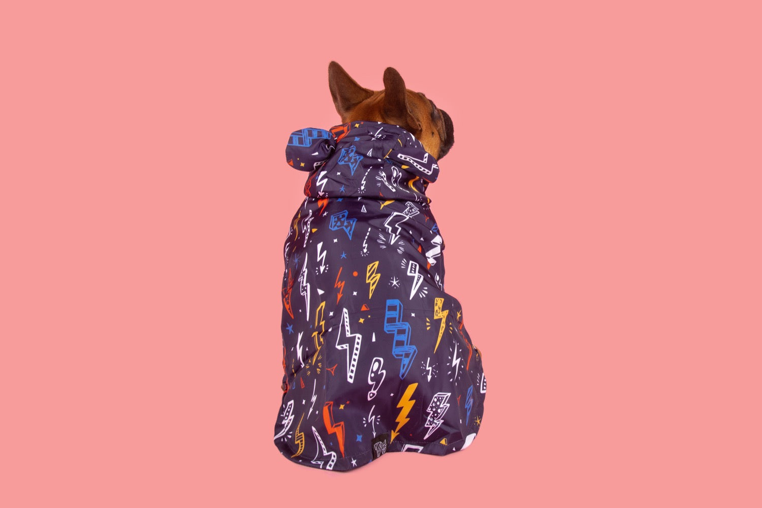 DOG RAINCOAT: Lightning Storm