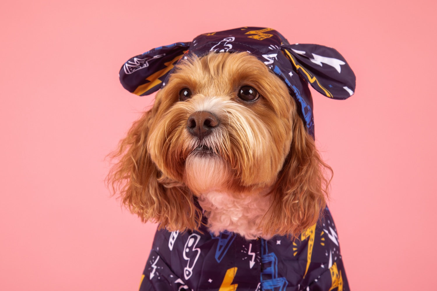 DOG RAINCOAT: Lightning Storm