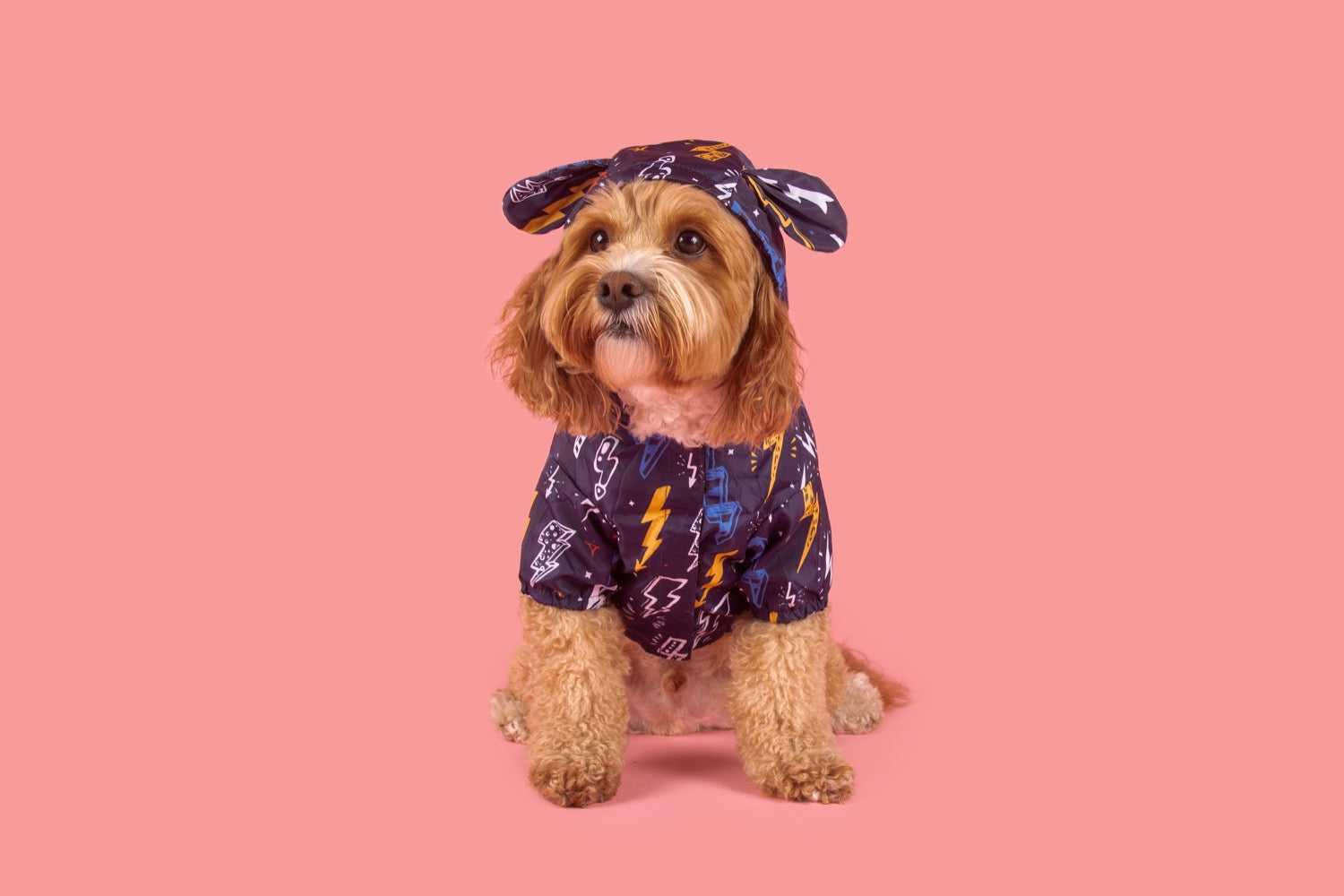 DOG RAINCOAT: Lightning Storm