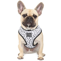 Reversible Dog Harness Spotted Leopard Purple Leopard Spots