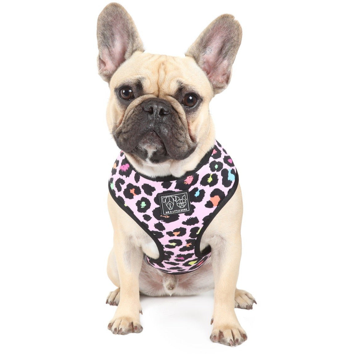 Reversible Dog Harness Spotted Leopard Purple Leopard Spots