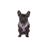 Reversible Dog Harness Spotted Leopard Purple Leopard Spots