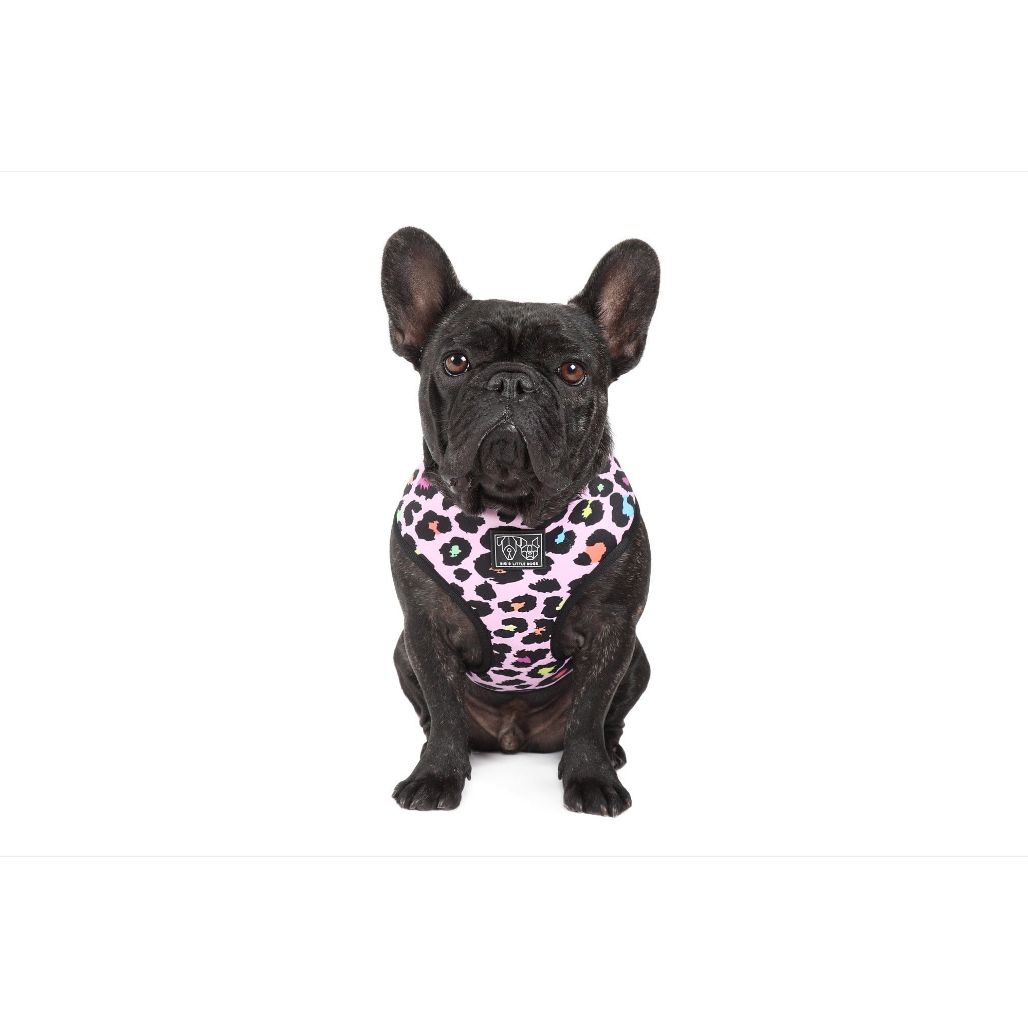 Reversible Dog Harness Spotted Leopard Purple Leopard Spots