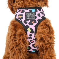 Reversible Dog Harness Spotted Leopard Purple Leopard Spots