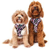 Reversible Dog Harness Spotted Leopard Purple Leopard Spots