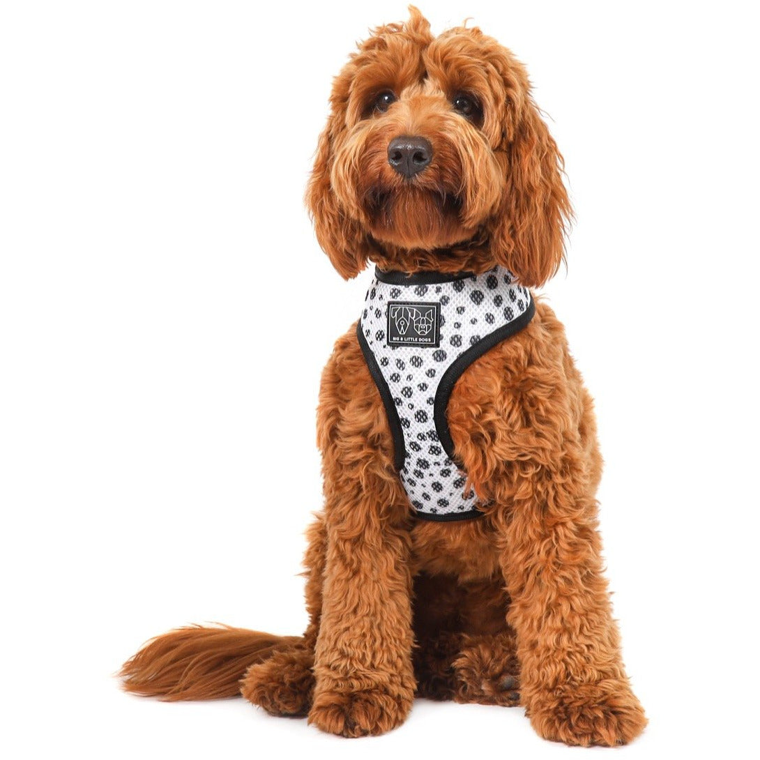 Reversible Dog Harness Spotted Leopard Purple Leopard Spots