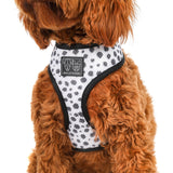 Reversible Dog Harness Spotted Leopard Purple Leopard Spots