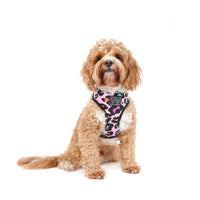 Reversible Dog Harness Spotted Leopard Purple Leopard Spots