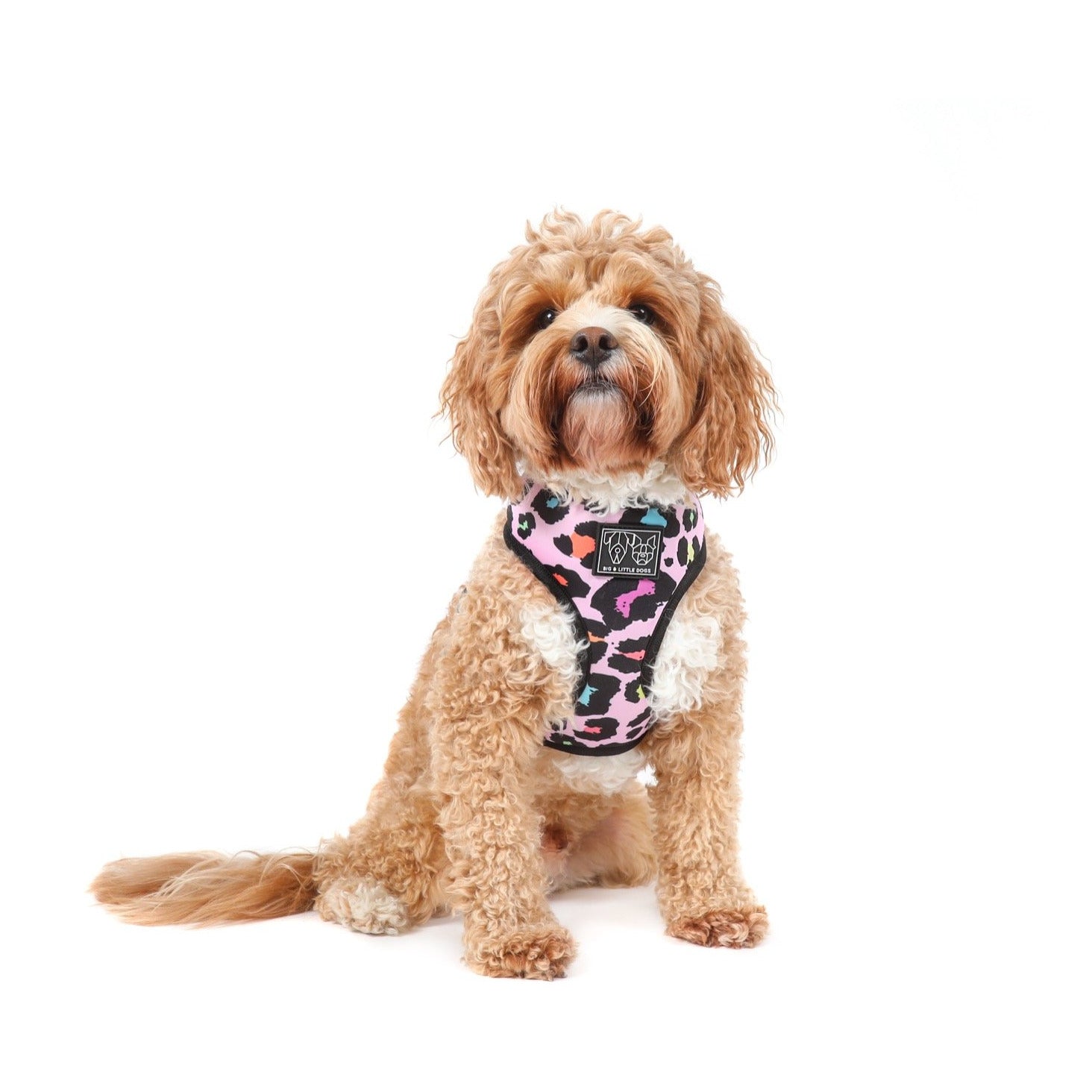 Reversible Dog Harness Spotted Leopard Purple Leopard Spots