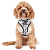 Reversible Dog Harness Spotted Leopard Purple Leopard Spots