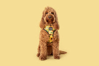 Reversible Dog Harness Sunny Vibes Sunflowers and Gingham