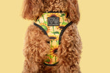 Reversible Dog Harness Sunny Vibes Sunflowers and Gingham