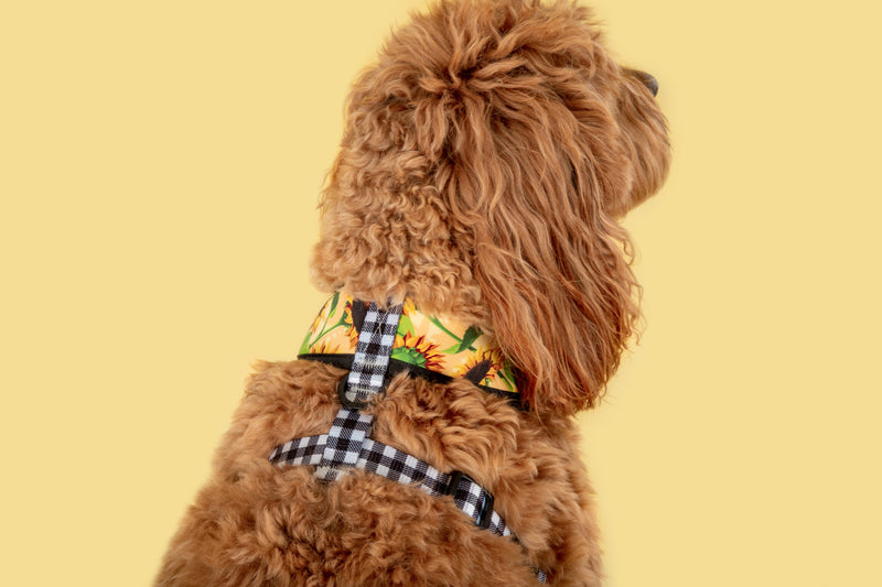 Reversible Dog Harness Sunny Vibes Sunflowers and Gingham
