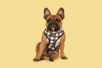 Reversible Dog Harness Sunny Vibes Sunflowers and Gingham