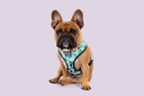 Reversible Dog Harness Toucan Do It