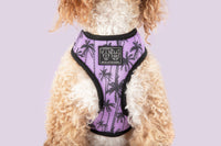 Reversible Dog Harness Toucan Do It