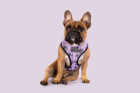 Reversible Dog Harness Toucan Do It