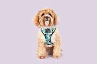 Reversible Dog Harness Toucan Do It