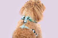 Reversible Dog Harness Toucan Do It