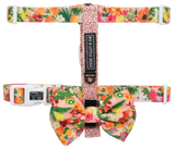 DOG STRAP HARNESS: Fruit Salad {FINAL SALE}