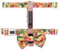 DOG STRAP HARNESS: Fruit Salad {FINAL SALE}