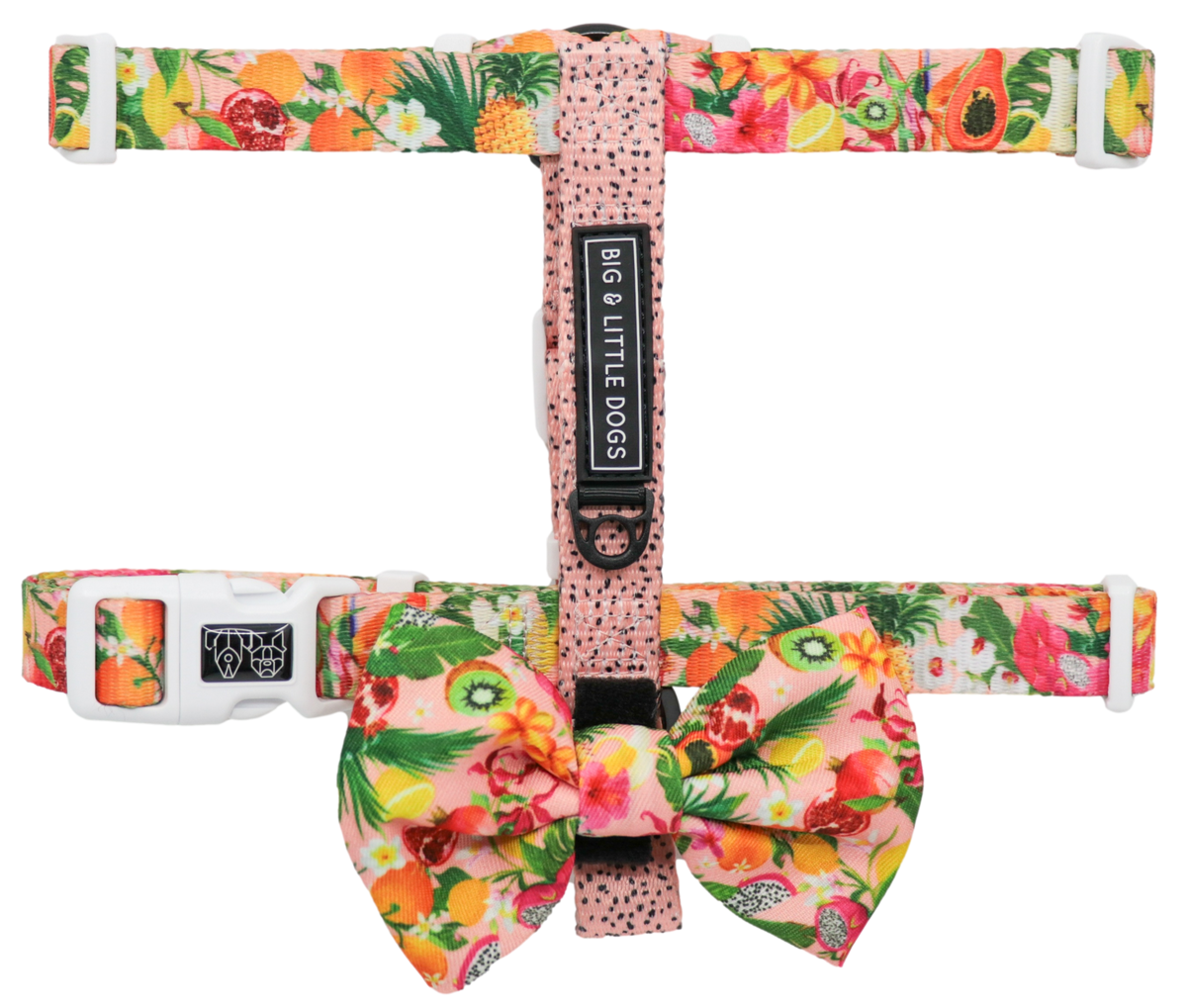 DOG STRAP HARNESS: Fruit Salad {FINAL SALE}