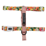 DOG STRAP HARNESS: Fruit Salad {FINAL SALE}