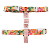 DOG STRAP HARNESS: Fruit Salad {FINAL SALE}
