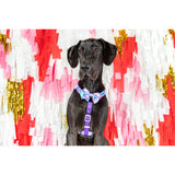 Dog Strap Harness Tie Dye For