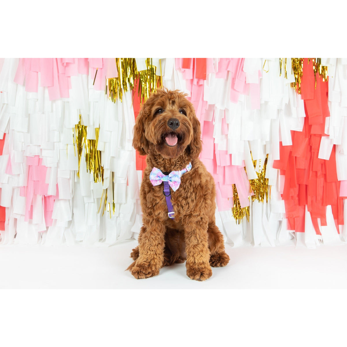 Dog Strap Harness Tie Dye For