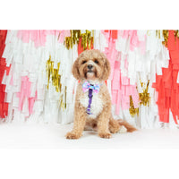 Dog Strap Harness Tie Dye For