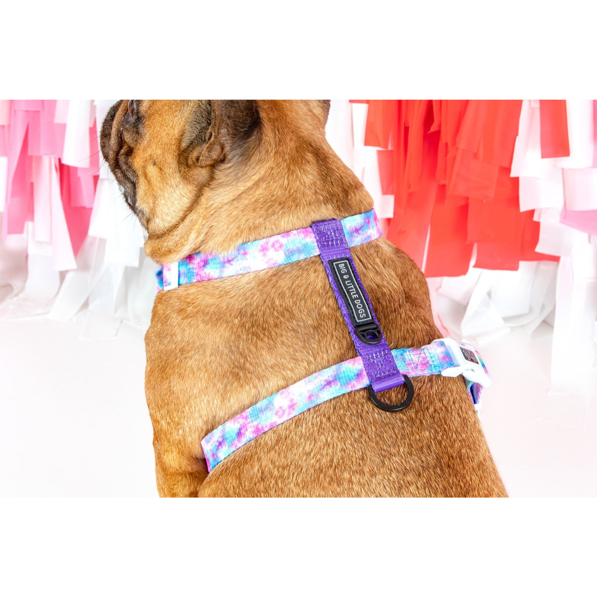 Dog Strap Harness Tie Dye For