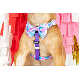 Dog Strap Harness Tie Dye For