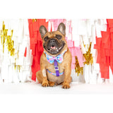 Dog Strap Harness Tie Dye For