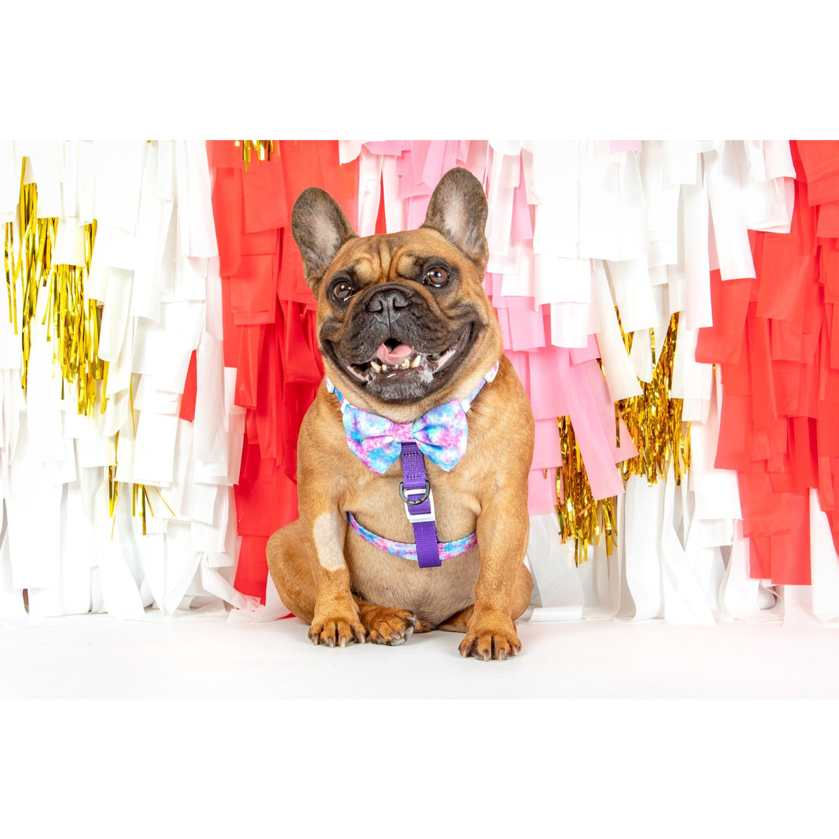 Dog Strap Harness Tie Dye For