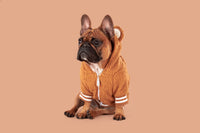 Teddy Dog Hoodie Jumper in Caramel Brown