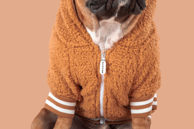 Teddy Dog Hoodie Jumper in Caramel Brown