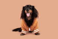 Teddy Dog Hoodie Jumper in Caramel Brown