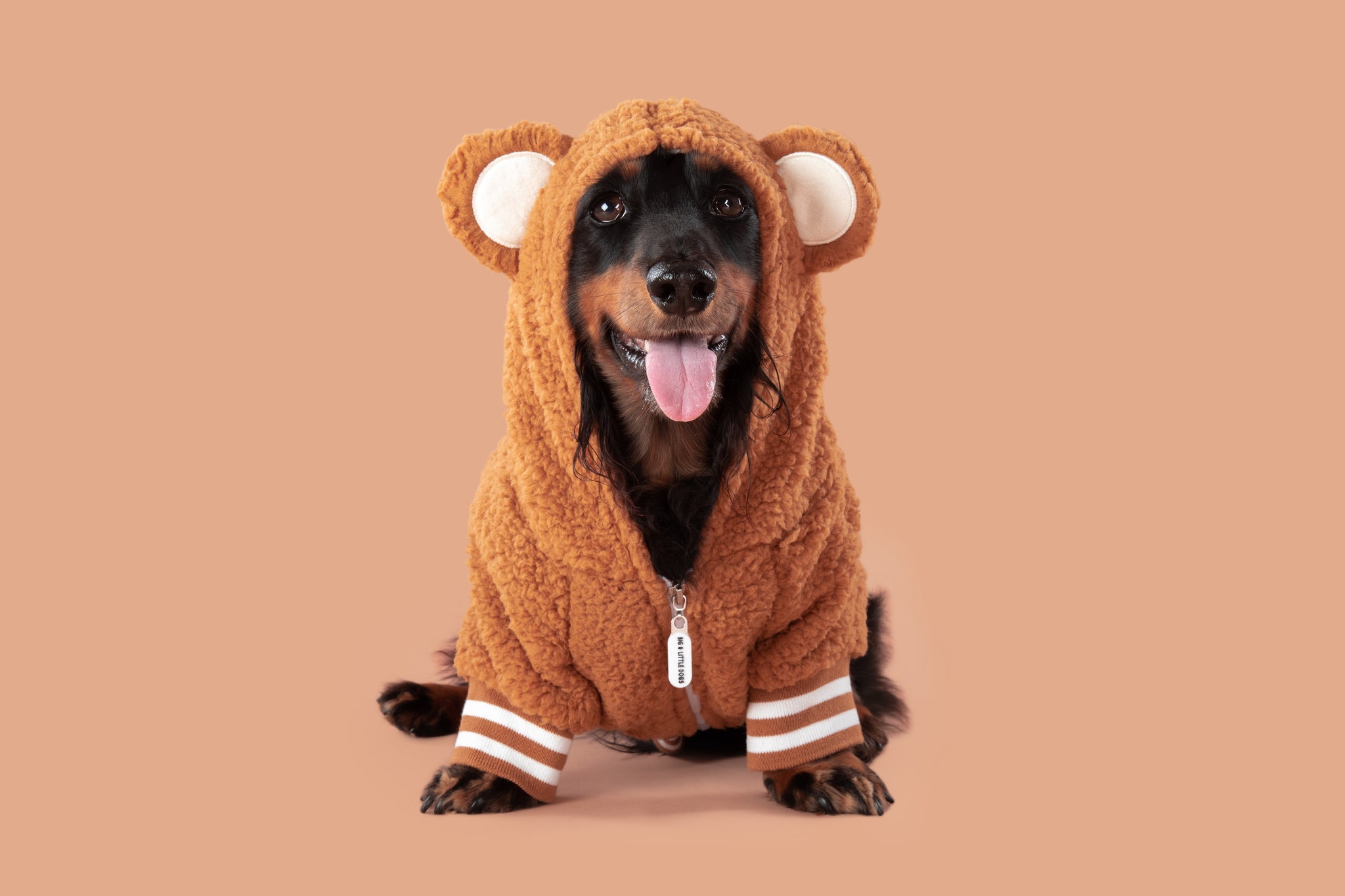 Teddy Dog Hoodie Jumper in Caramel Brown