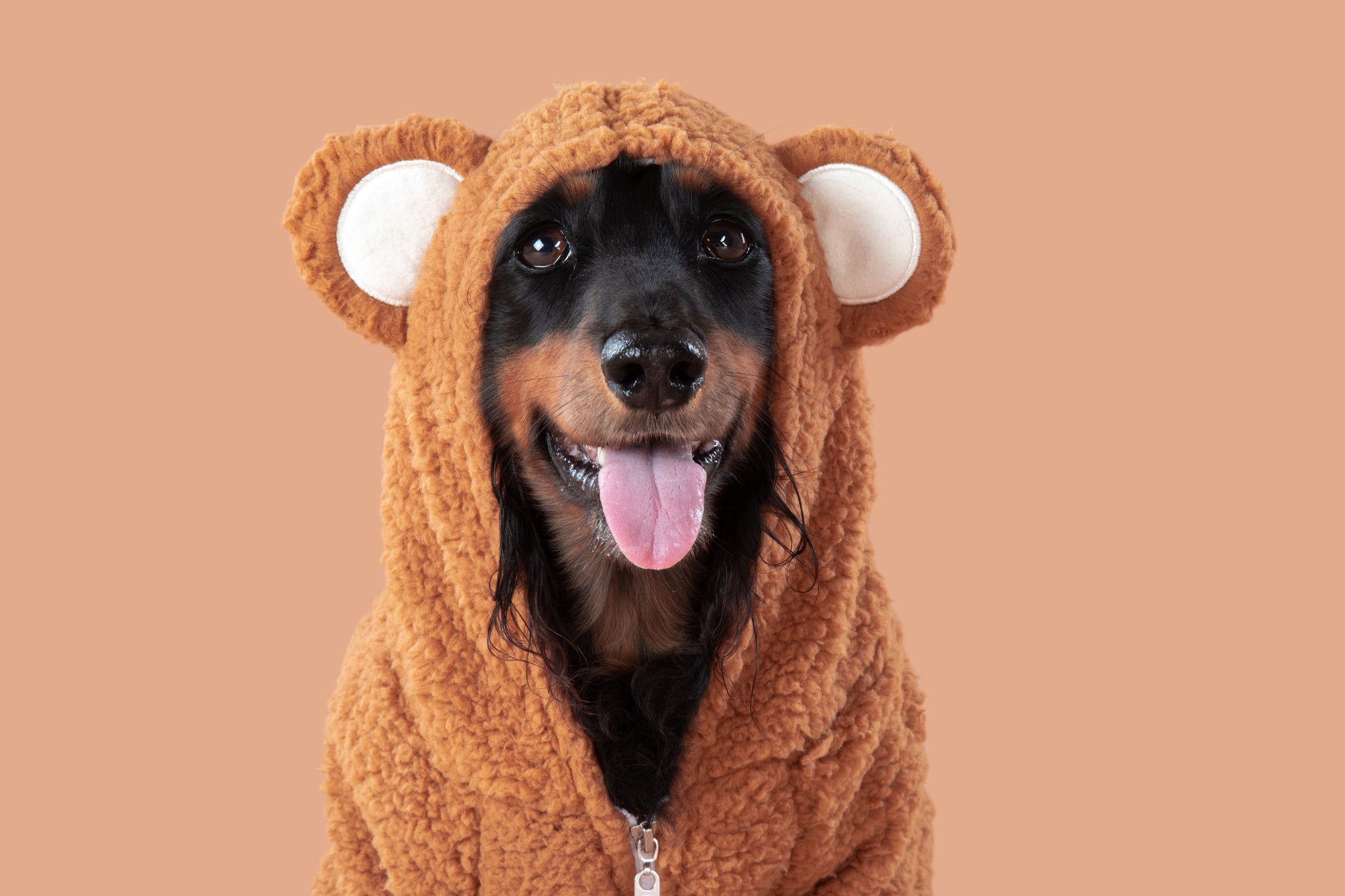 Teddy Dog Hoodie Jumper in Caramel Brown