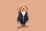 Teddy Dog Hoodie Jumper in Navy Blue