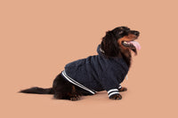 Teddy Dog Hoodie Jumper in Navy Blue