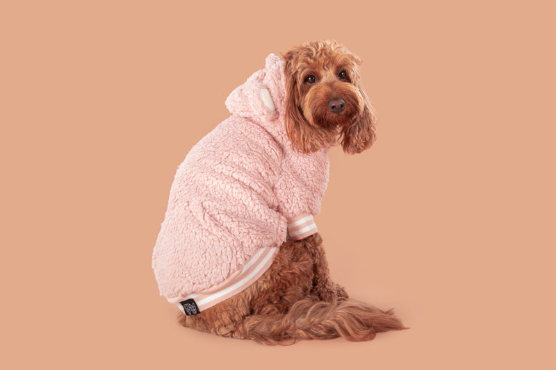 Teddy Dog Hoodie Jumper in Pink