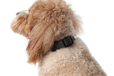 Waterproof Dog Collar Black