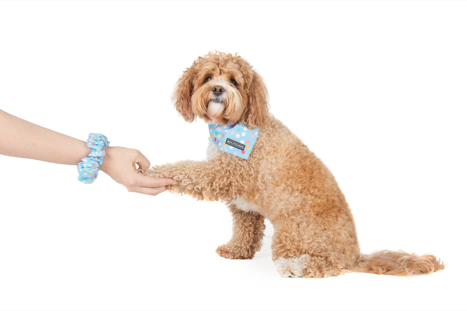 SCRUNCHIE: Blue Confetti {FINAL SALE}