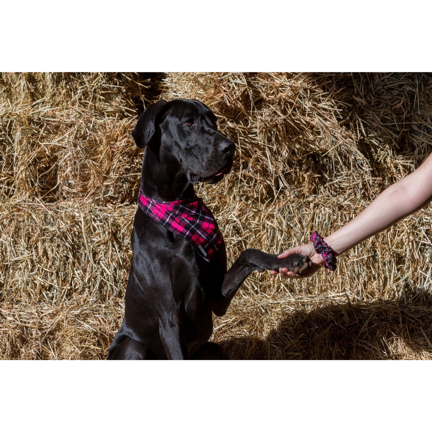 SCRUNCHIE: Her Plaid {FINAL SALE}