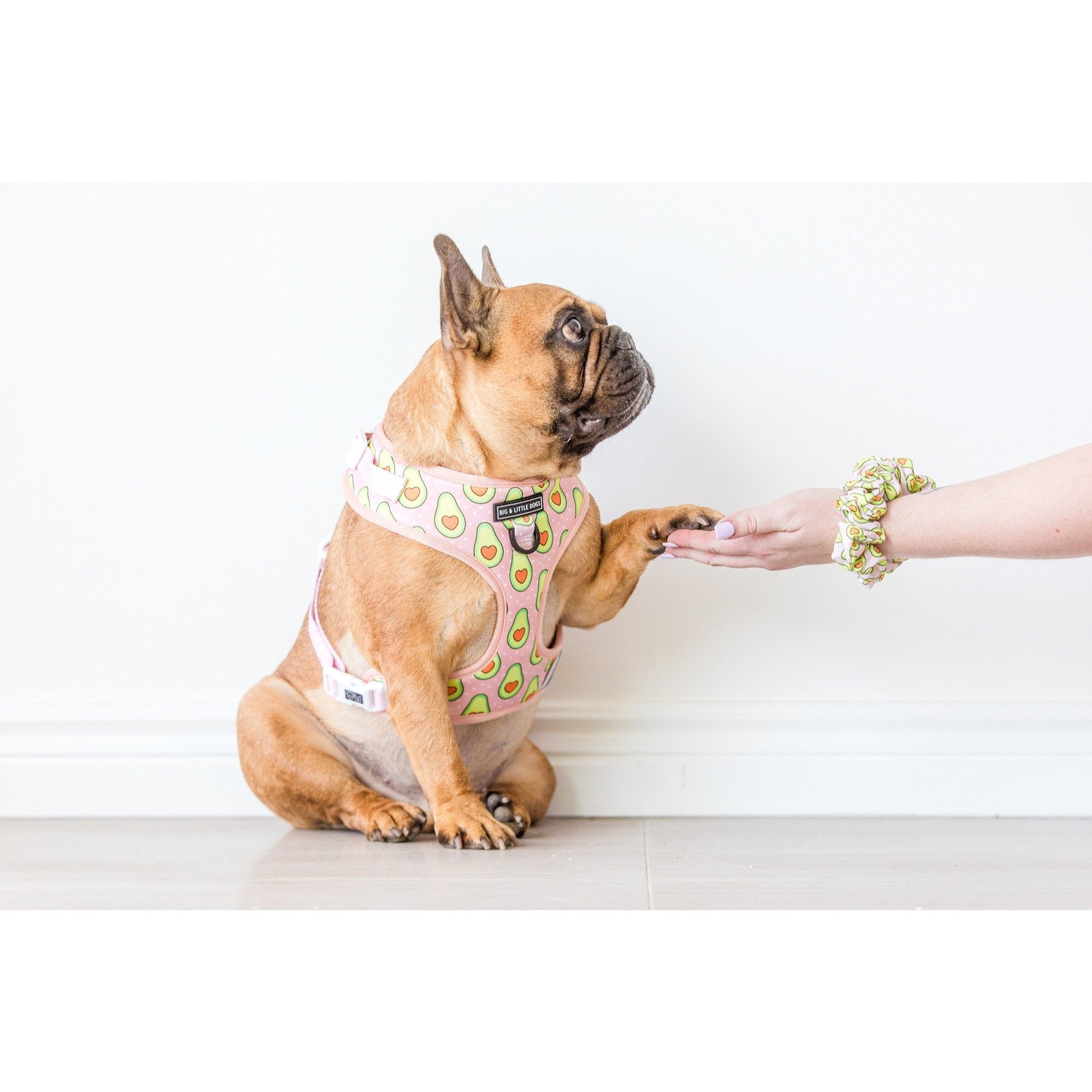 SCRUNCHIE: Let's Avo Cuddle {FINAL SALE}