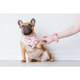 SCRUNCHIE: Rainbow Dreams {FINAL SALE}