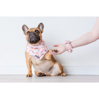 SCRUNCHIE: Rainbow Dreams {FINAL SALE}